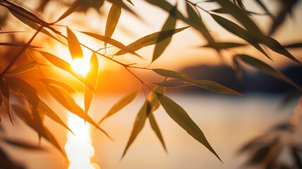 Sunset Bamboo Leaves Silhouette, warm atmosphere, warm atmosphere, dreamy, artistic