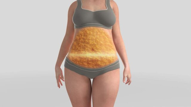 woman morphing from fat to slim. Cross fat section burn. Melt fat.