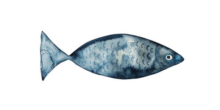 Watercolor hand drawn blue fish isolated on white background