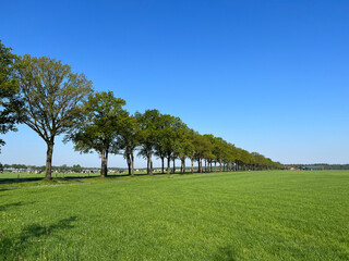Farmland around Borger