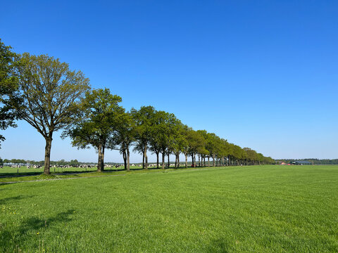 Farmland around Borger