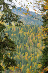 black sea mountains green and orange trees sky clouds