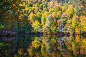 Obraz premium The idea of being in nature and the waterfall flowing through the trees decorated with autumn colors the rocks calmness peace and happiness