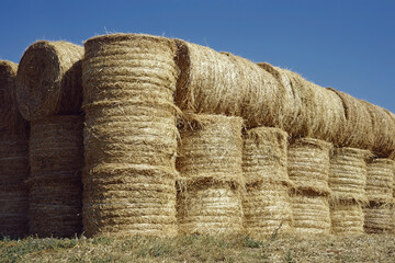 many rolls of hay stacked