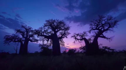 Fototapeten Baobab Dusk Sentinels © dasom