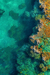 Fototapeta na wymiar An aerial photograph of an underwater coral reef.