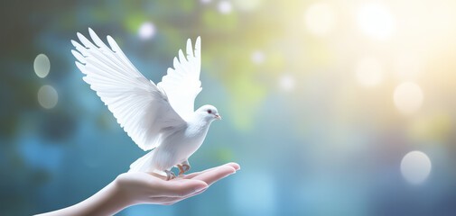 Hand release and free pigeon or dove to freedom life. - obrazy, fototapety, plakaty