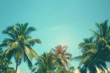 Fototapeta na wymiar Coconut palm trees, beautiful tropical background, vintage filter. generative ai.