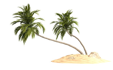 Coconut trees on transparent background, PNG file, 3d render