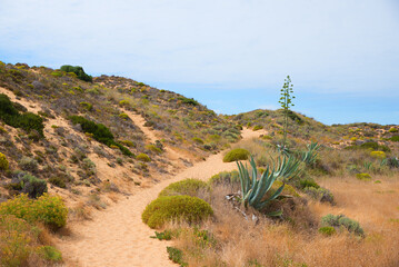 sandy footpath through dunes landscape, west algarve Portugal