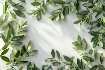 Fotobehang Green olive branch with leaves and fruits on white background. Horizontal luxury botanical background for banner, greeting card, invitation. Women's Day, Valentine's Day, wedding. © Olga