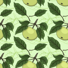 Seamless Background, Fruit Apple with Leaves and Contours, Tile Pattern. Vector