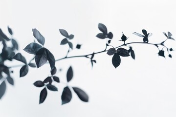 A close-up photo of a branch with leaves, perfect for nature themes