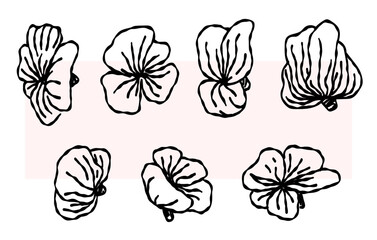 Doodle set of flowers. vector drawing, line. Monochrome artistic botanical illustration, isolated floral elements, hand drawn illustration.