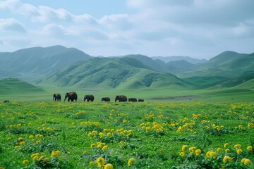 Real photos, real scenes, super high quality, Sony camera shots, green meadows, happy life of elephants