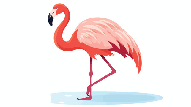Flamingo icon in flat style african animal vector © Noman