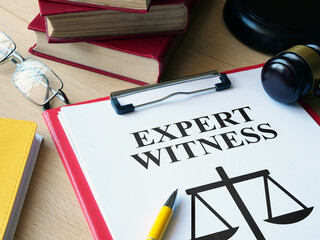Expert witness is shown using the text