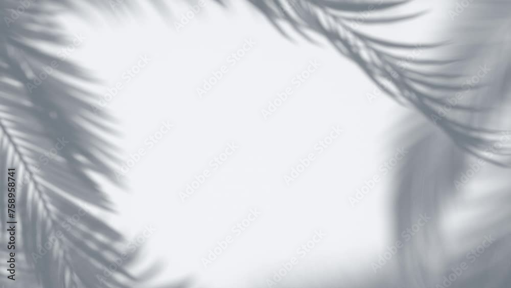 Wall mural 3d animation - shadow of palm leaves moving in the wind in a loop on an empty wall