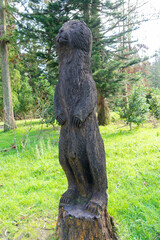 Fototapeta na wymiar sculpture carved from a tree trunk in Lagoa das Furnas-São Miguel-Açores-Portugal.3-3-2024