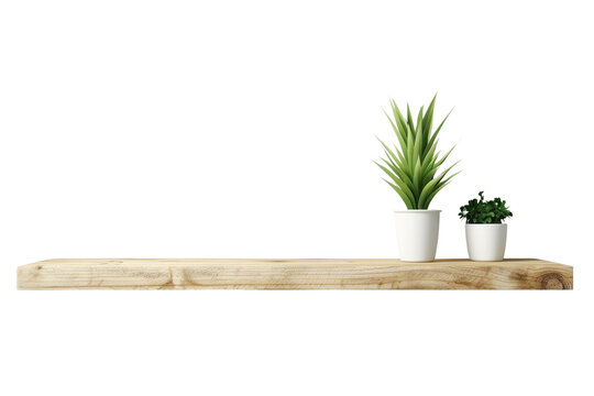 Minimalist wooden shelf with potted plants isolated on transparent background