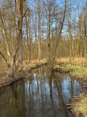 Obraz premium biesenthal, brandenburg