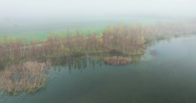 Aerial view of lake and nature area Schoterveld on a misty day, Bant, Noordoostpolder, Flevoland, Netherlands