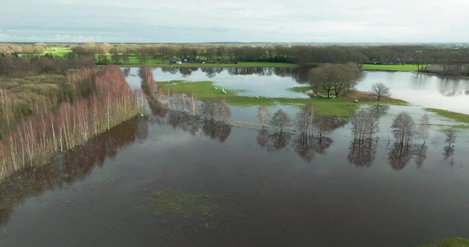 Aerial view of flooded farmland and trees during high water of river Vecht, Diffelen, Vechtdal, Overijssel, Netherlands