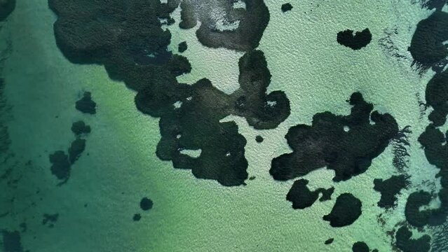 Aerial view of the turquoise waters and marine life in Point Pearson, Rockingham, Western Australia.