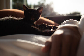 A young beautiful girl is lounging on the coach with a black kitten at home. The cat relaxation...