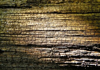 Texture of old smoldering wood