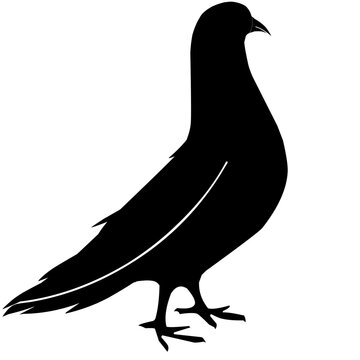 recommend clip art: silhouette of a pigeon