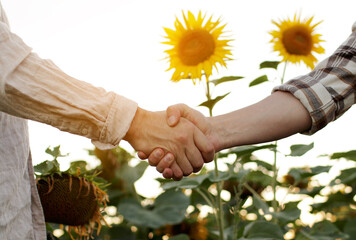 Agribusiness concept. Cropped shot business people shake hands at sunflower field. Farmer partners...