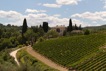 The vineyards of Montalcino in Tuscany