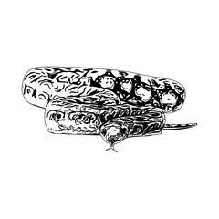 sketch of a snake with a transparent background
