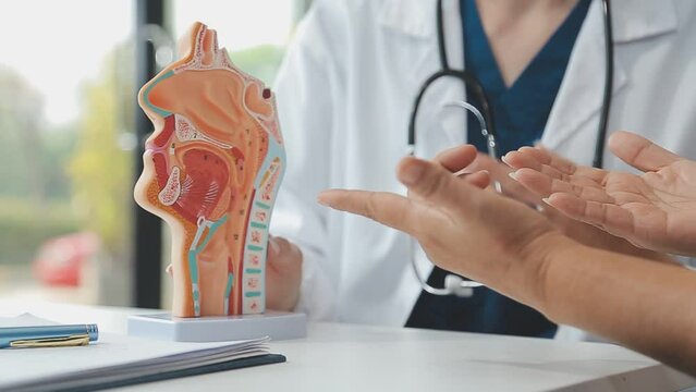 Doctor with human Pancreatitis anatomy model with Pancreas, Gallbladder, Bile Duct, Duodenum, Small intestine. Pancreatic cancer, Acute and Chronic pancreatitis, Digestive system and Health concept