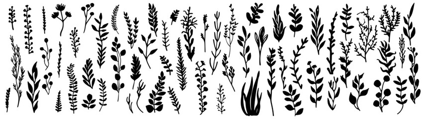 set of leaves foliage doodle hand drawing elements.