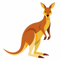 kangaroo, wallaby, wallaroo, mascot, pet, cartoon, pretty, cute, draw, art, wildlife, character, vector, illustration