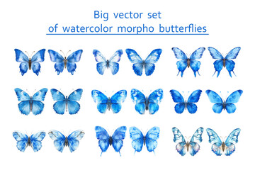 set of blue morpho butterflies. watercolor vector illustration - 758982719