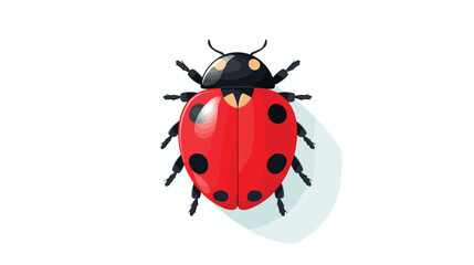 Ladybug isolated vector . Element for design. Flat