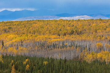 Fototapeta na wymiar Mountain landscape in autumn colors, Yukon territory Canada 