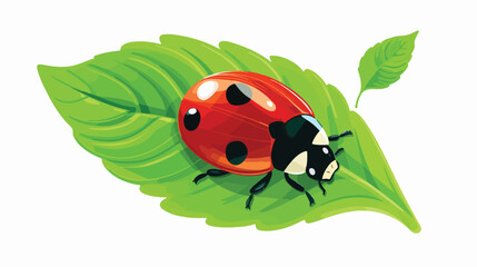 Ladybug sitting on a green leaf. isolated vector .
