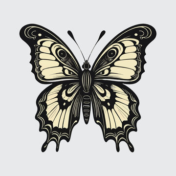clipart beauty butterfly vector isolated