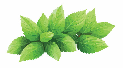 Mint leaves icon  flat vector isolated on white background