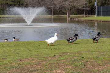 Obraz premium Ture friends don't care color or race