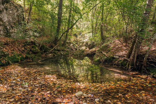 Canyon of a dried river with lots of rocks, foliage and trees during autumn, river Derventa, Uzice, Serbia