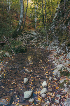 Canyon of a dried river with lots of rocks, foliage and trees during autumn, river Derventa, Uzice, Serbia