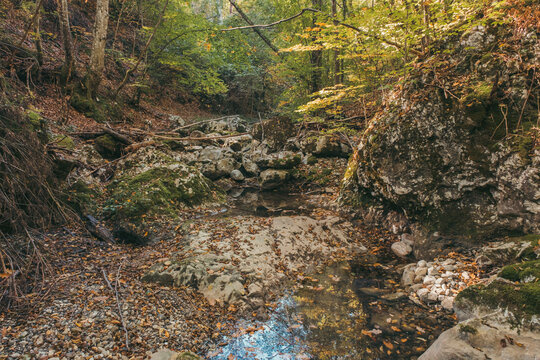 Canyon of a dried river with lots of rocks, foliage and trees during autumn, river Derventa, Uzice, Serbia