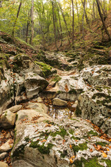 Naklejka na ściany i meble Canyon of a dried river with lots of rocks, foliage and trees during autumn, river Derventa, Uzice, Serbia