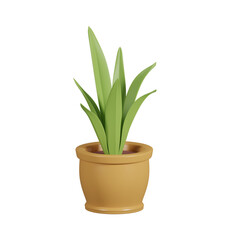 plant in pot isolated on transparent background. 3d render illustration 