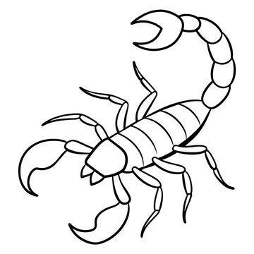 recommend clip art: scorpion drawing using only lines, line art to color and paint. Children's drawings.